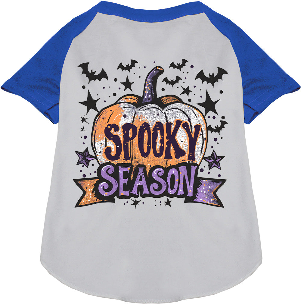 Gray and blue spooky season pet raglan shirt with pumpkin design