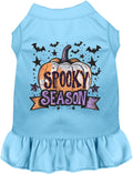 Blue Batty Spooky Season Pet Dress with pumpkin design