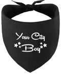 Custom Boy Pet Bandana