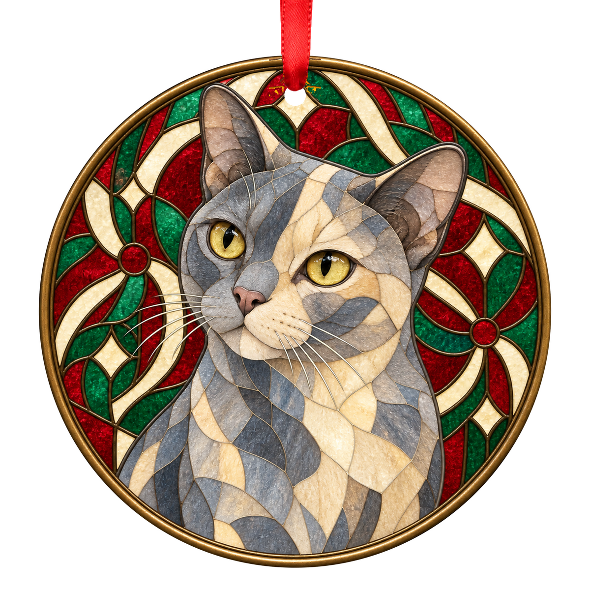 European Burmese Blue Cream ORN-10680