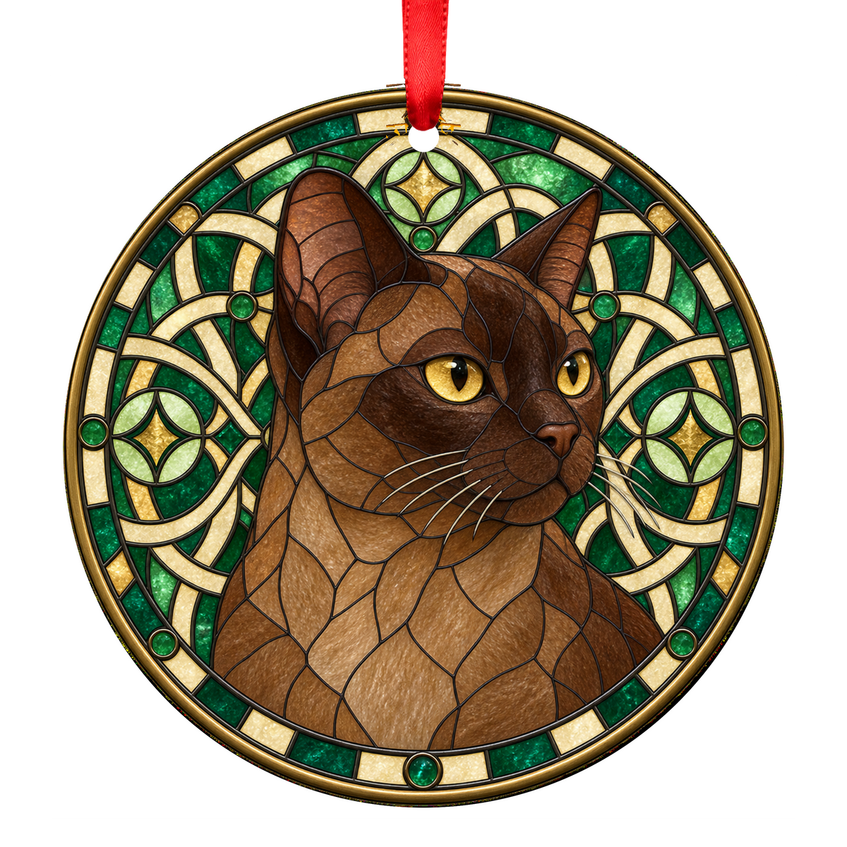 European Burmese Chocolate ORN-10682