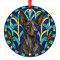Peruvian Hairless Dog — Black