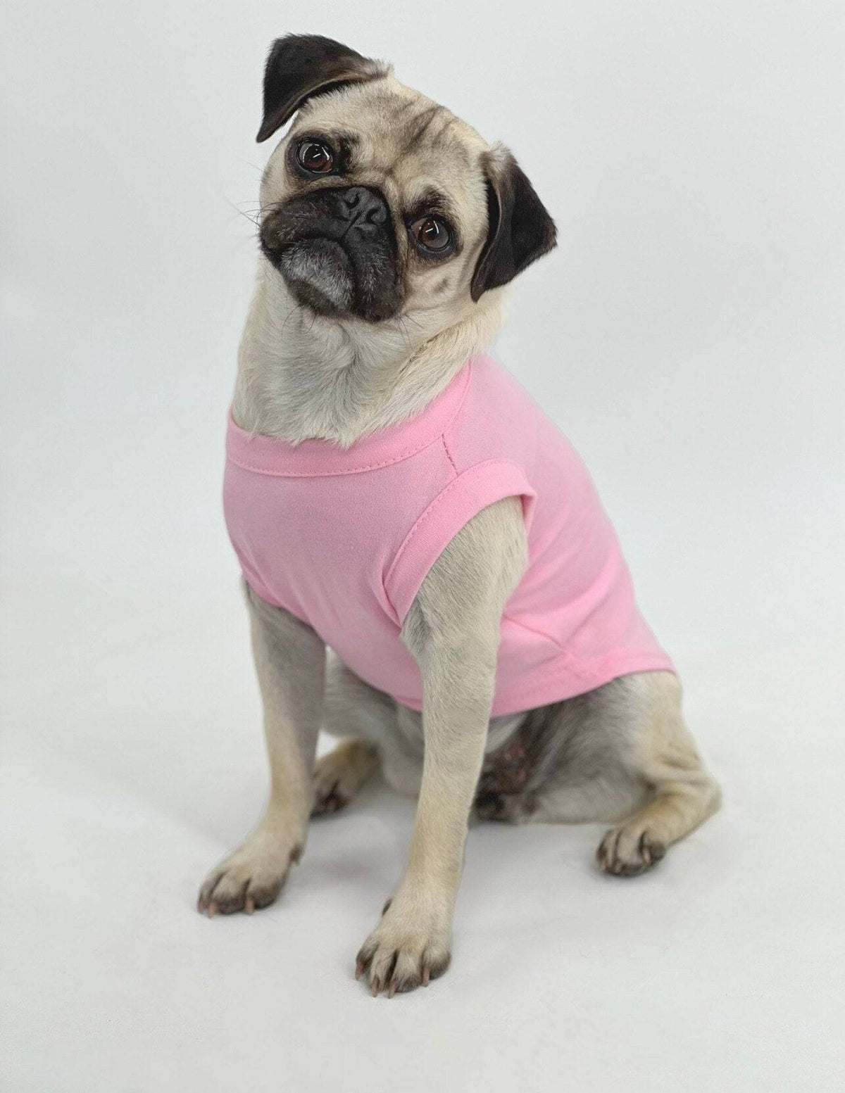 Pet Dog & Cat Shirt Blank, Plain