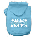 Thanksgiving Pet Dog & Cat Hoodie Screen Printed, "Be Thankful for Me"